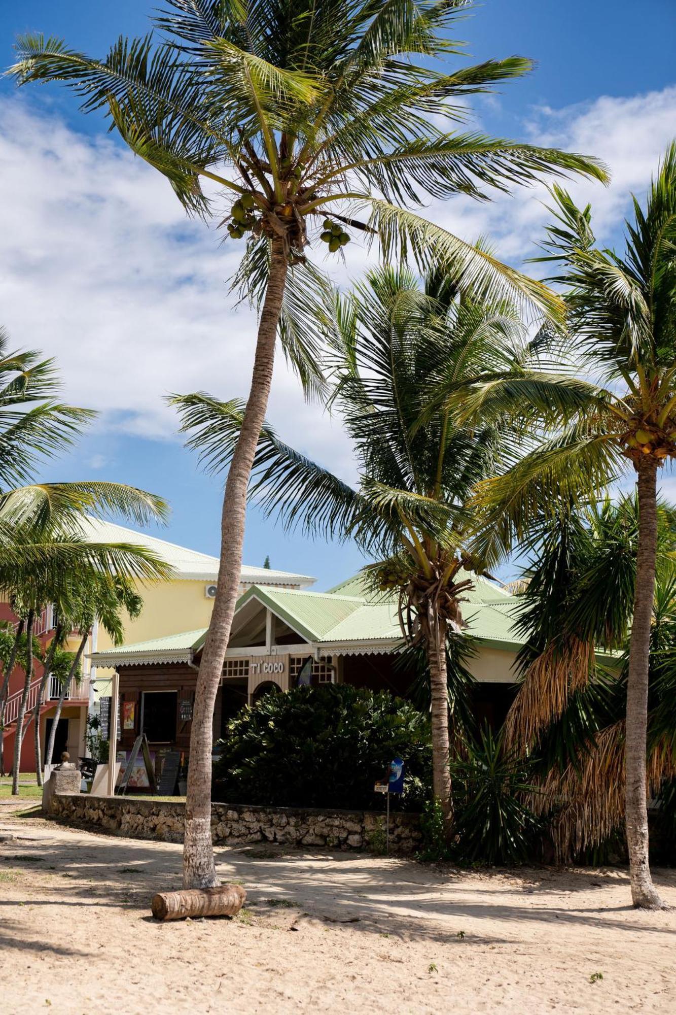 Le Petit Havre Tropical Guadeloupe, Gite, Massages & Spa Saint-Francois  Exteriér fotografie